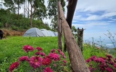 Falls View Glamp Suite